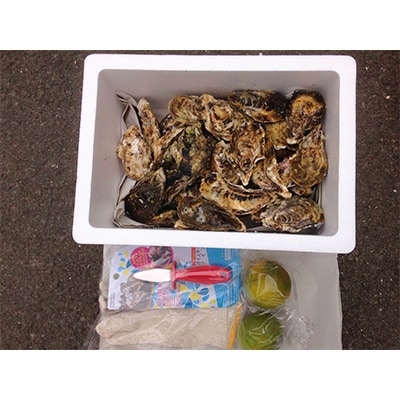 大村湾産　殻付き牡蠣Aセット　約2.5kg(加熱用)