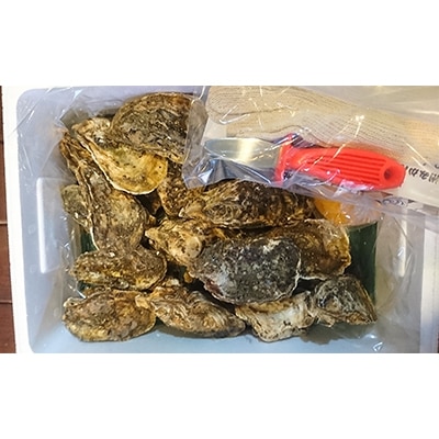 長崎県産　大村湾殻付き牡蠣セット　3kg【時津町】