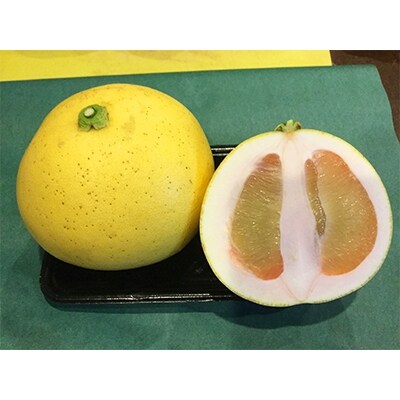 長崎県産【訳あり】柑橘詰め合わせ10kg