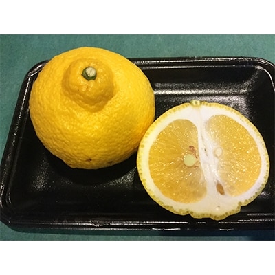 長崎県産【訳あり】柑橘詰め合わせ10kg