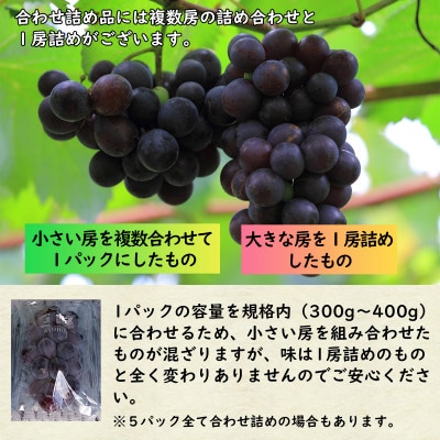 時津特産 種無し巨峰 5パック 計1.5kg以上