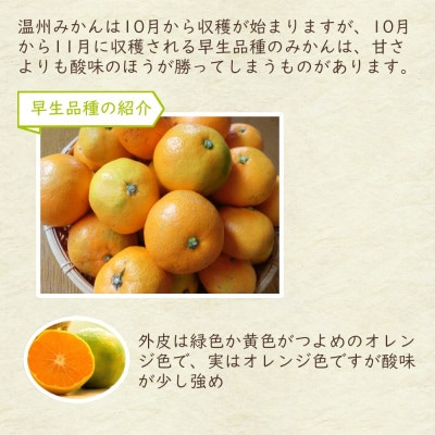 【数量限定】時津町特産 温州みかん 約5kg 糖度が高くなる時期のみお届け