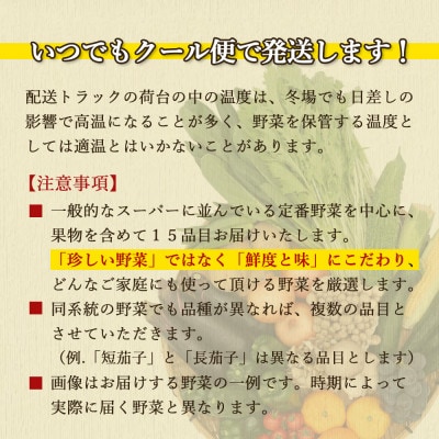 野菜のプロ40年が届ける厳選野菜セット 果物付き 15品目以上 詰め合わせ
