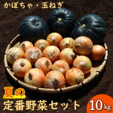 夏の定番野菜セット 約10kg かぼちゃ 玉ねぎ 常備野菜の詰め合わせ