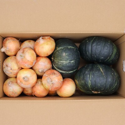夏の定番野菜セット 約10kg かぼちゃ 玉ねぎ 常備野菜の詰め合わせ
