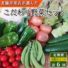 【発送月固定定期便】こだわり野菜セット 7品目以上 詰め合わせ (時津町)全6回