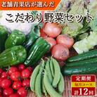 【発送月固定定期便】こだわり野菜セット 7品目以上 詰め合わせ (時津町)全12回