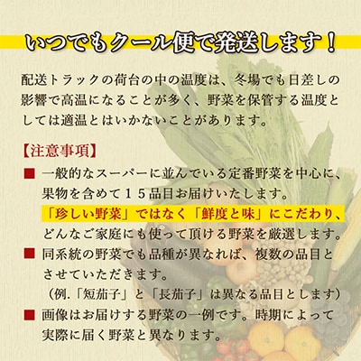 【発送月固定定期便】厳選野菜セット 果物付き 15品目 詰め合わせ (時津町)全6回