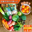 【発送月固定定期便】厳選野菜セット 果物付き 15品目 詰め合わせ (時津町)全4回
