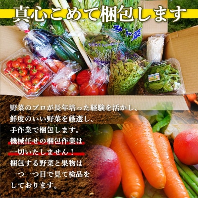 【発送月固定定期便】厳選野菜セット 果物付き 15品目 詰め合わせ (時津町)全6回