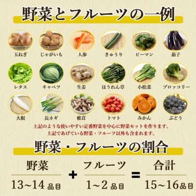 【発送月固定定期便】厳選野菜セット 果物付き 15品目 詰め合わせ (時津町)全6回