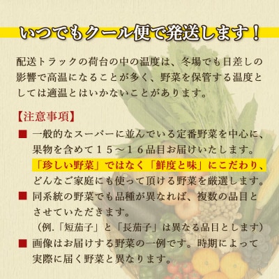 【発送月固定定期便】厳選野菜セット 果物付き 15品目 詰め合わせ (時津町)全6回