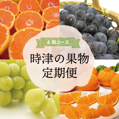 【発送月固定定期便】時津の果物定期便 みかん ぶどう シャインマスカットなど全4回