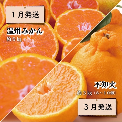 【発送月固定定期便】時津の果物定期便 みかん ぶどう シャインマスカットなど全4回