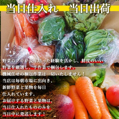 【発送月固定定期便】こだわり野菜セット 7～8品目 詰め合わせ (時津町)全6回