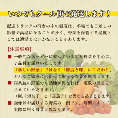 【発送月固定定期便】こだわり野菜セット 7～8品目 詰め合わせ (時津町)全6回