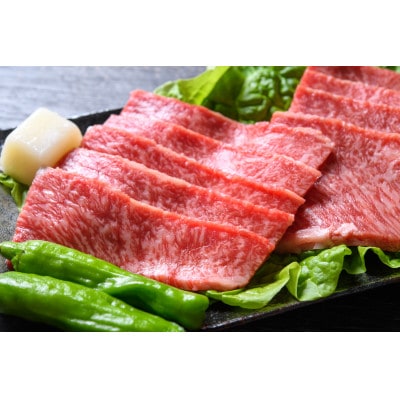【A4～A5】長崎和牛赤身モモ焼肉用　500g(時津町)