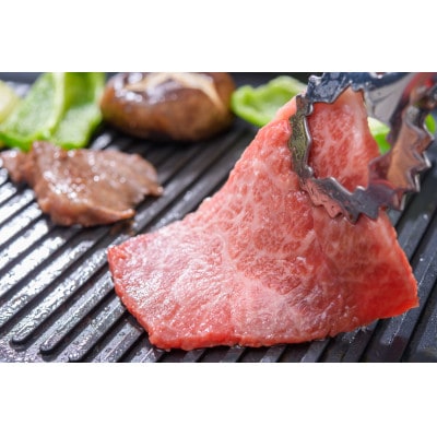 【A4～A5】長崎和牛赤身モモ焼肉用　500g(時津町)