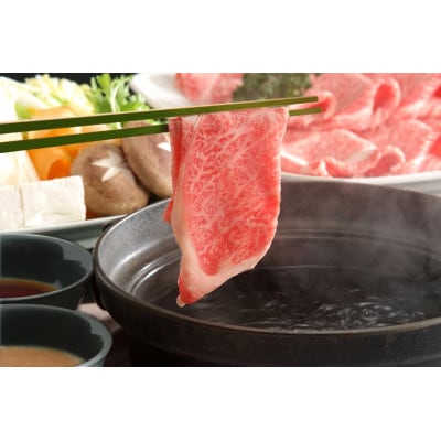 【厳選部位】【A4～A5】長崎和牛サーロインしゃぶしゃぶすき焼き用　300g×2p(時津町)