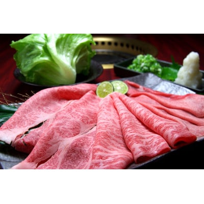 【厳選部位】【A4～A5】長崎和牛サーロインしゃぶしゃぶすき焼き用　500g×2p(時津町)