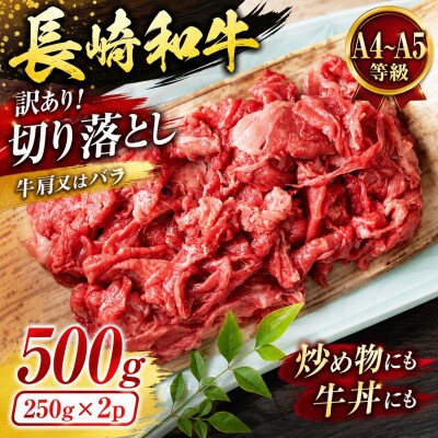 【A4～A5】訳あり!長崎和牛切り落とし 500g(250g×2p)