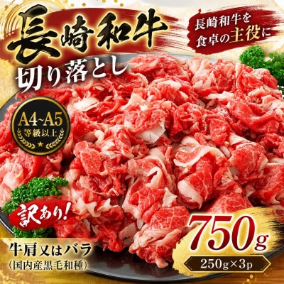 【A4～A5】訳あり!長崎和牛切り落とし 750g(250g×3p)