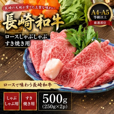 【厳選部位】【A4～A5】長崎和牛ロースしゃぶしゃぶすき焼き用 500g(250g×2p)