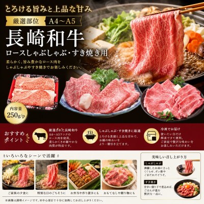 【厳選部位】【A4～A5】長崎和牛ロースしゃぶしゃぶすき焼き用 750g(250g×3p)