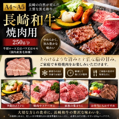 【A4～A5】長崎和牛焼肉用 500g(250g×2p)