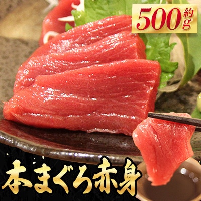 長崎県産 本マグロ「赤身」約500g