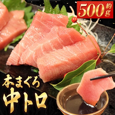 長崎県産 本マグロ「中トロ」約500g