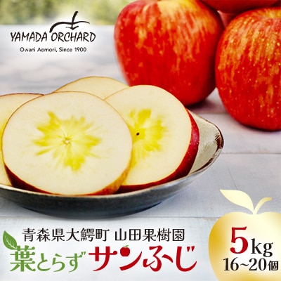 山田果樹園　葉取らずサンふじ　5kg