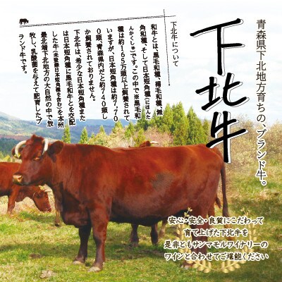 下北牛 希少部位食べ比べ6種セット3~4人前
