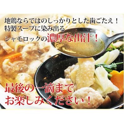 特産地鶏 青森シャモロック 地鶏鍋セット(3～4人前)