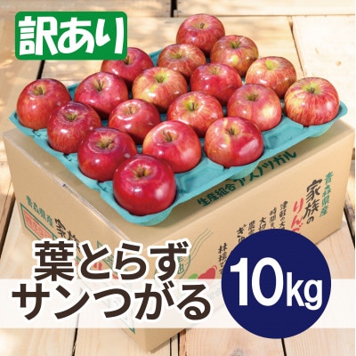 【2025年10月発送予定】平均糖度12度以上! 葉とらずサンつがる 約10kg 訳あり