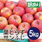 【2025年11月発送予定】平均糖度13度以上! 葉とらずサンふじ 約5kg 訳あり
