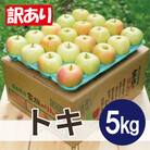 平均糖度13度以上! トキ 約5kg 訳あり