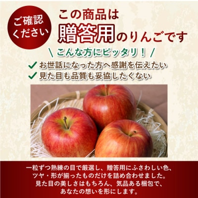 【1月出荷予定】平均糖度13度以上! サンふじ 約5kg 贈答