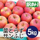 【25年12月出荷予定】平均糖度13度以上! 葉とらずサンふじ 約5kg 訳あり