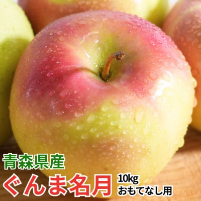 【12月出荷予定】平均糖度13度以上! ぐんま名月 約10kg おもてなし用