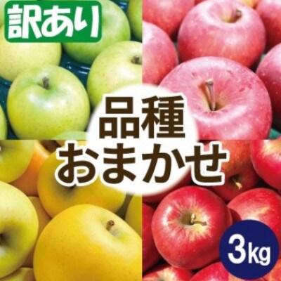 【25年11月出荷】りんご 品種おまかせ 約3kg 訳あり