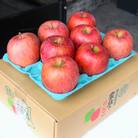 【2025年12月発送予定】糖度13度以上保証!サンふじおもてなし用約3kg(6～18玉)