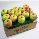 【2025年12月発送予定】糖度13度以上保証!ぐんま名月おもてなし用約3kg(6～18玉)