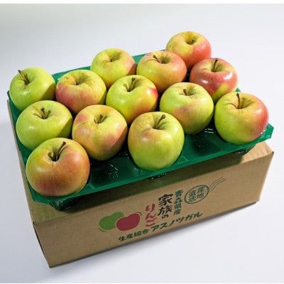 【2025年12月発送予定】糖度13度以上保証!ぐんま名月おもてなし用約3kg(6～18玉)