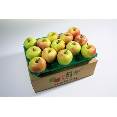 【2025年12月発送予定】糖度13度以上保証!ぐんま名月約3kg(6～18玉)訳あり