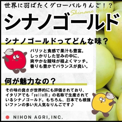 【26年1月出荷予定】平均糖度13度以上! シナノゴールド 約10kg 訳あり