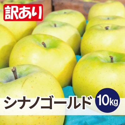 【26年2月出荷予定】平均糖度13度以上! シナノゴールド 約10kg 訳あり