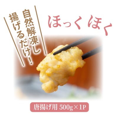 高級魚をご家庭で!豊後ハモの骨切り&唐揚げ用(計1kg)_29245A