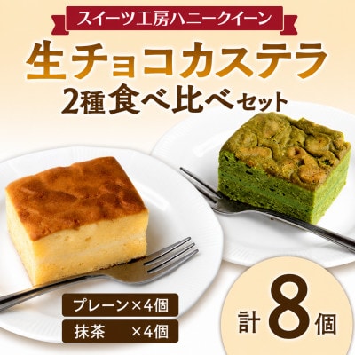 生チョコカステラ2種食べ比べ 8個セット (プレーン・抹茶各4個) FKK19-463
