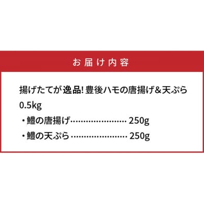 揚げたてが美味!豊後ハモの唐揚げ&天ぷら/0.5kg_0275N
